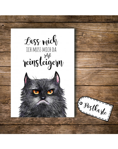 A6 Postkarte Ansichtskarte Flyer Katze grumpy cat mit Spruch lass mich A6 postcard print grumpy cat with quote saying stop bothering me pk099.jpg