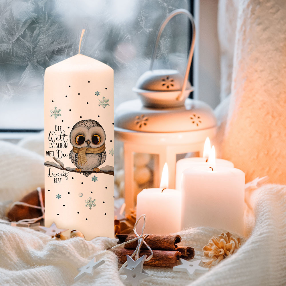Adventskerze Kerze Advent Winter Eule Eulchen auf Ast Spruch Die Welt ist schön Weihnachten Deko Geschenk ak14 ~ Wandtattoos Elfentür, Tassen