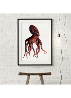 A3 Print mit Tintenfisch Oktopus Krake Poster Plakat Riesenkrake p127