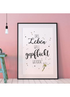 A3 Print Illustration Poster Plakat mit Pusteblume & Spruch Motto Das Leben will gepflückt werden" p99"