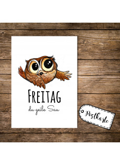 A6 Postkarte Karte Print Eule Eulchen mit Spruch Zitat Motto Freitag du geile Sau A6 postcard card print little owl with quote saying friday you horny guy pk13