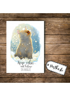 A6 Postkarte Ansichtskarte Flyer Katze im Schnee mit Spruch keep calm and believe in magic A6 postcard print cat with quote saying keep calm and believe in magic pk098.jpg