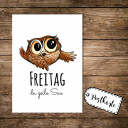 A6 Postkarte Karte Print Eule Eulchen mit Spruch Zitat Motto Freitag du geile Sau A6 postcard card print little owl with quote saying friday you horny guy pk13
